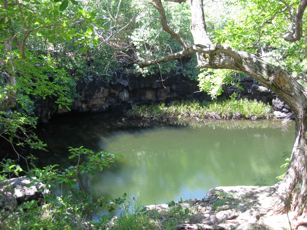 ile d'ambre excursion