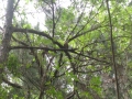 IMG_4235 (1024x768)