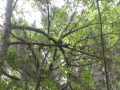 IMG_4235 (1024x768)