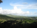 IMG_4321 (1024x768)