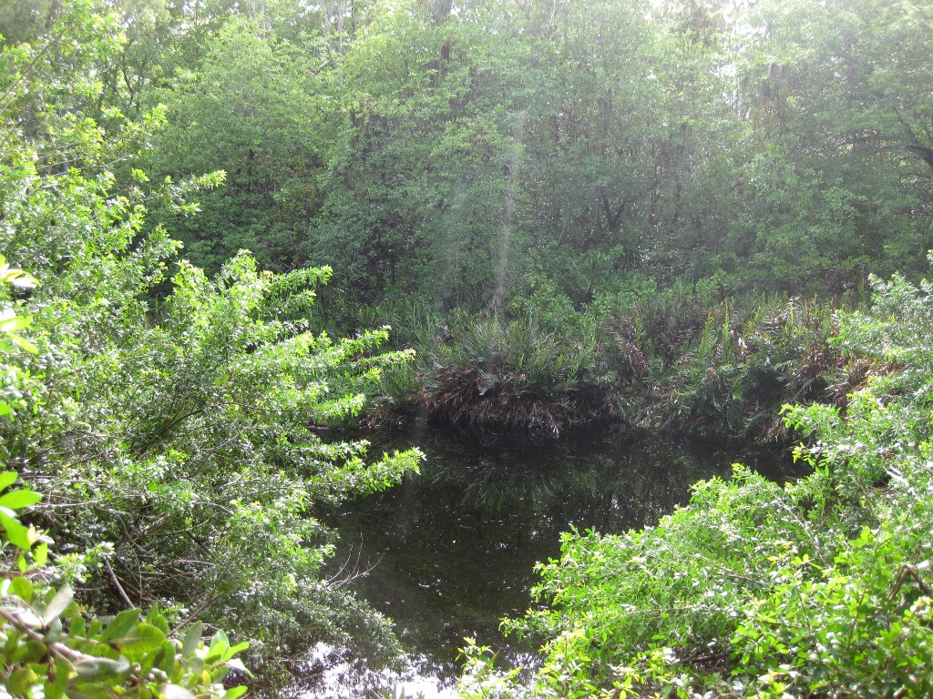 Bras D'eau Loop  Explore Mauritius