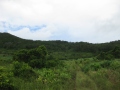IMG_5070 (1024x768)