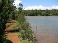 IMG_4972 (1024x768)