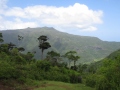 IMG_4837 (1024x768)