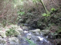 IMG_4052 (1024x768)