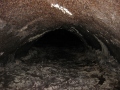 IMG_4711 (1024x768)