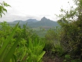 IMG_3984 (1024x768)
